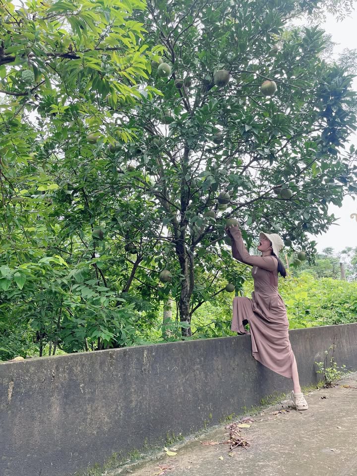 Đất thổ cư Đa Lộc Hậu Lộc 100m² giá 700 triệu - Cơ hội đầu tư hiếm có!