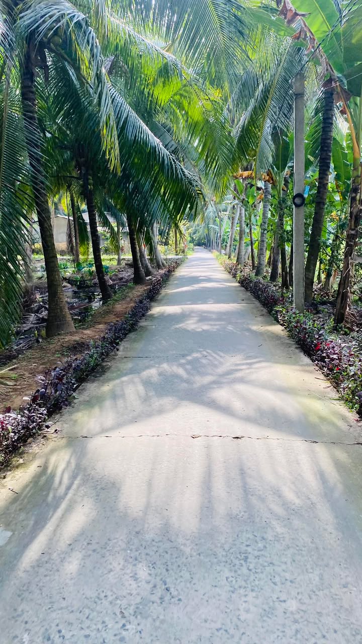 Bán đất có nhà cấp 4 tại xã Sơn Phú, Giồng Trôm - Diện tích 228m², giá 650 triệu!