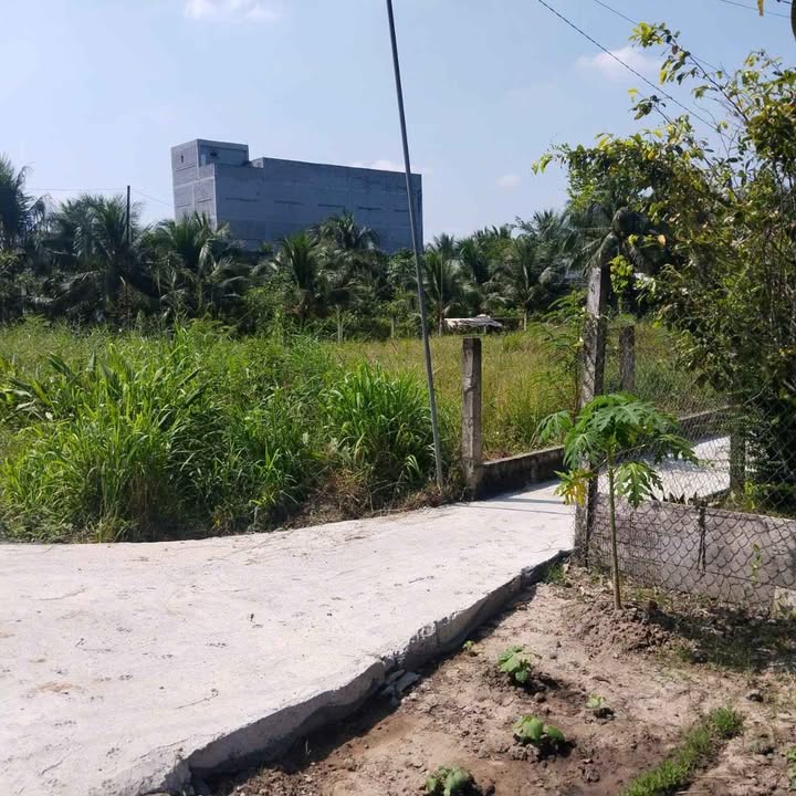 Đất nền Giồng Trôm Bến Tre 251m² và 271m² - Gần Quốc lộ 883, giá tốt!