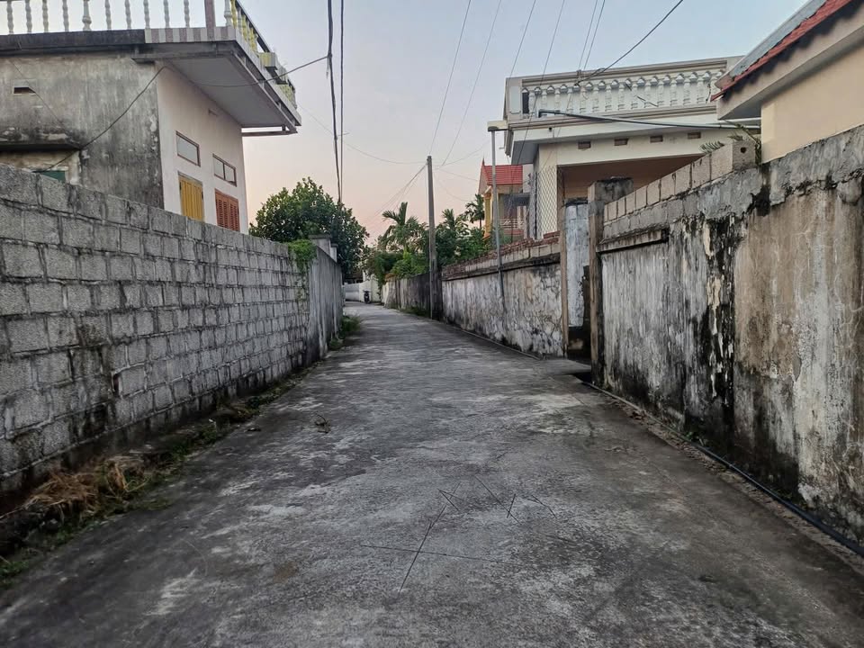 Đất nền nhà vườn Bàng La Đồ Sơn 348m² giá 3 tỷ - Đầu tư sinh lời lý tưởng!