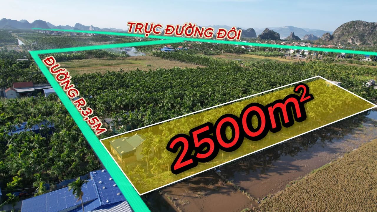 Đất nền Bạch Đằng, 2500m² giá 2.7 tỷ - Cơ hội đầu tư sinh lời!