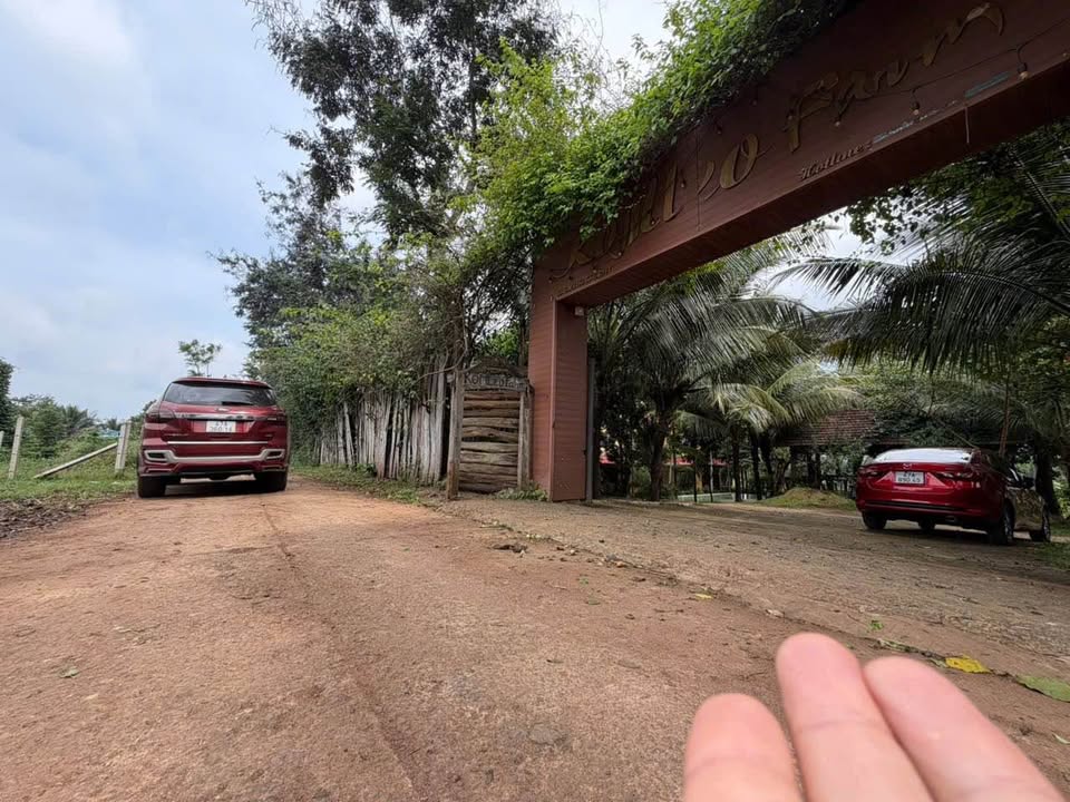 Đất thổ cư 300m² tại Tân Lập, giá 1.75 tỷ - Đầu tư sinh lời tốt!