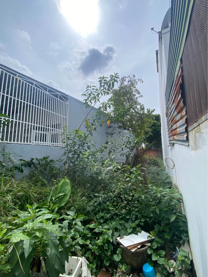 Đất nông nghiệp Đinh Công Tráng 80m² giá chỉ 950 triệu - Cơ hội đầu tư hấp dẫn!