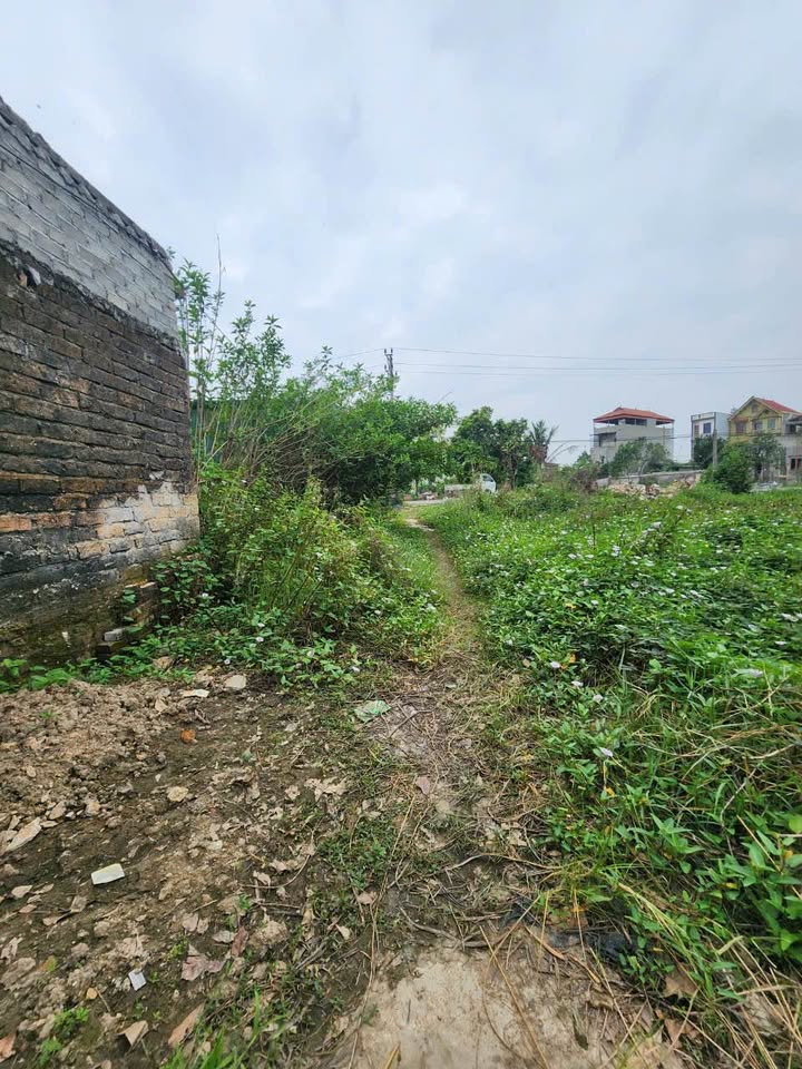 Bán đất thổ cư Kim Chân Bắc Ninh 300m² - Đường ô tô, giá thương lượng!