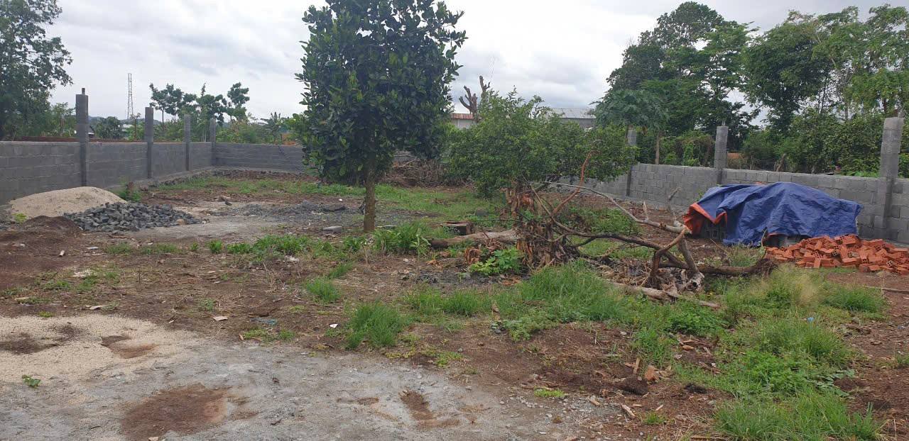 Đất nền Thành Nhất - Buôn Ma Thuột 525m² giá 2.08 tỷ - Thích hợp xây nhà vườn!