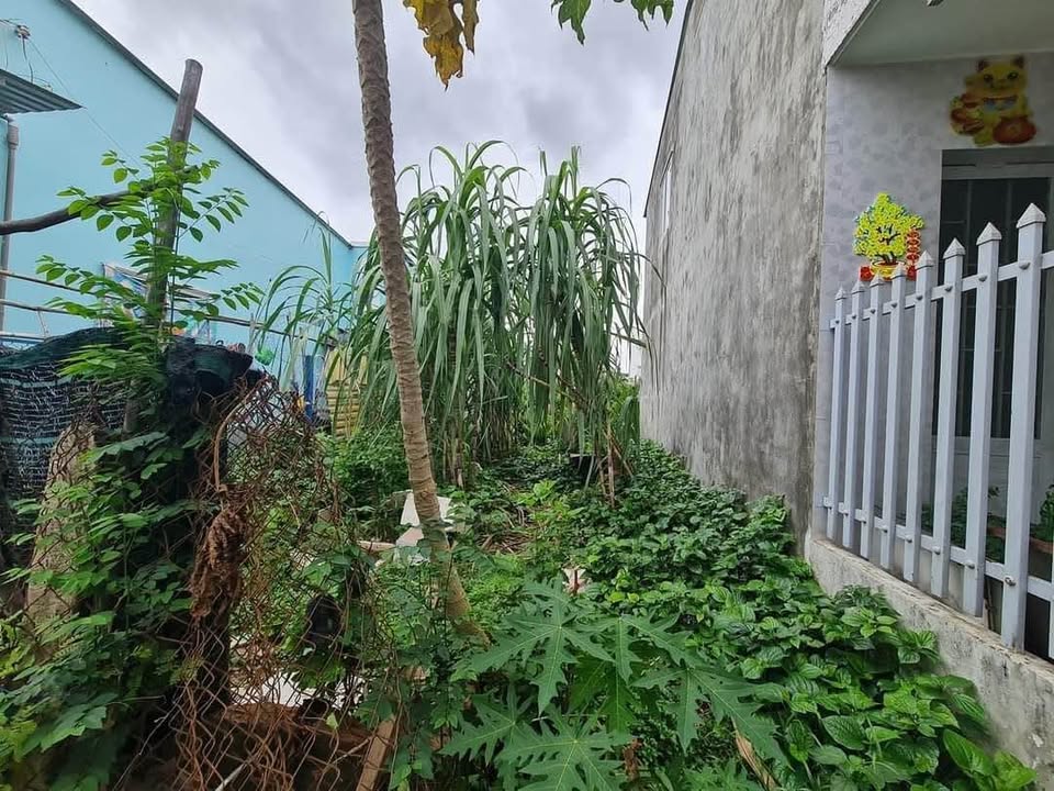 Đất nền chính chủ Sa Đéc 73.7m² - Sổ hồng giao ngay, giá thỏa thuận!