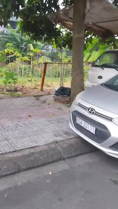 Đất nền Tam Phước, Biên Hòa 100m² - Sổ hồng chính chủ, thổ cư 100%!