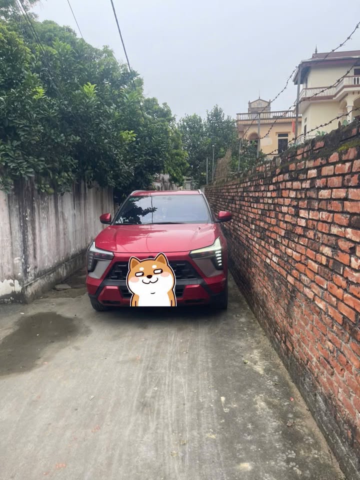 Đất nền 60m² phường Ninh Xá, Thuận Thành - Chỉ 1 tỷ, sổ đỏ chính chủ!