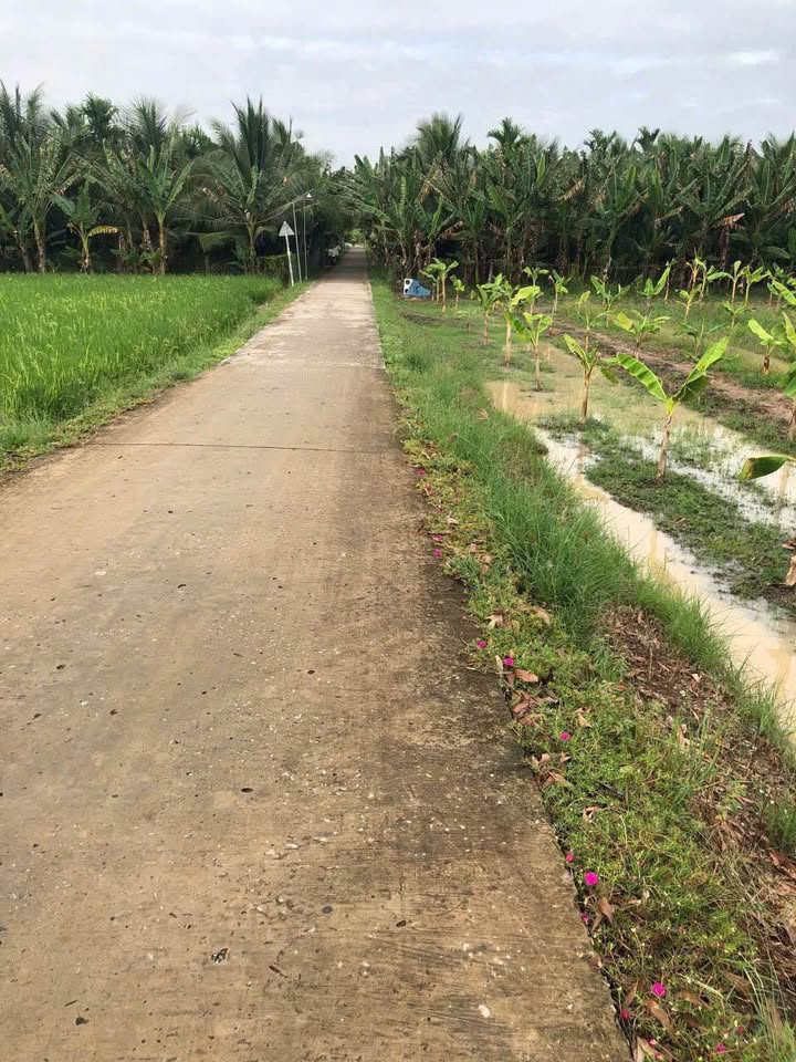 Đất 2 mặt tiền 2647m² tại xã Hậu Thạnh, Sóc Trăng - Đầu tư sinh lời ngay!