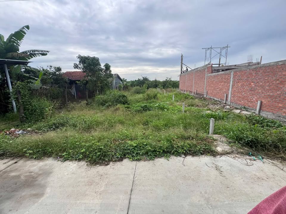 Đất nền 1.130m² phường Mỹ Phong, Mỹ Tho chỉ 1.45 tỷ - Vị trí yên tĩnh, an ninh