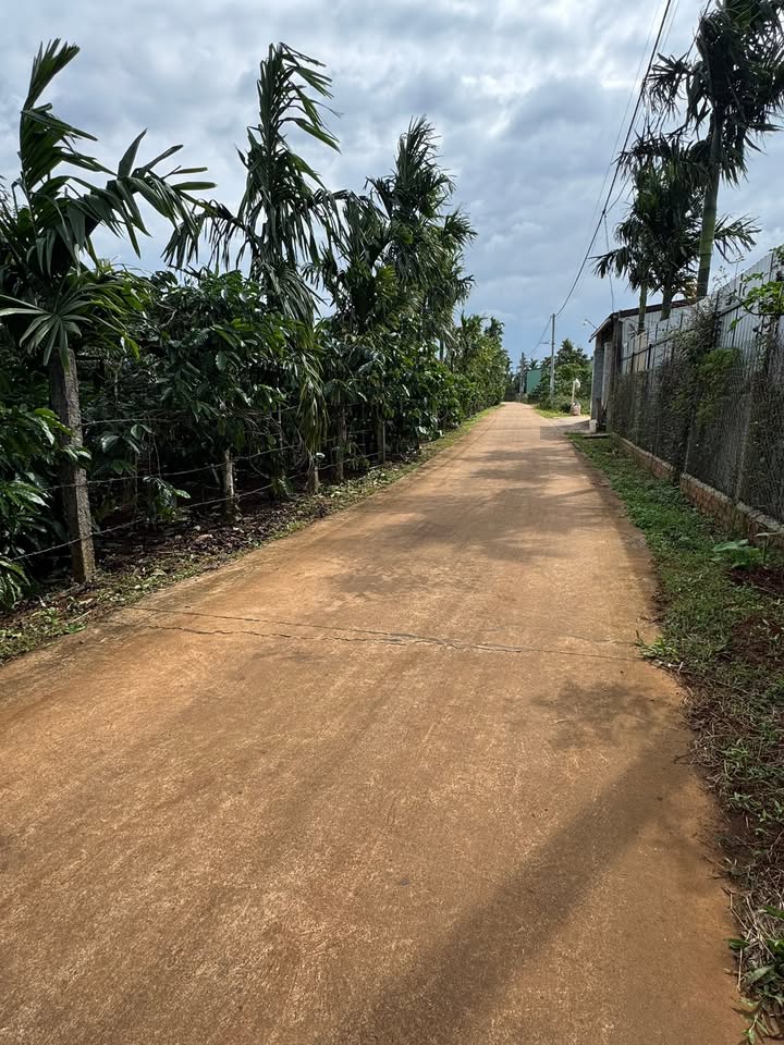 Đất nền Pơng Drang, Krông Búk 350m² giá 1.55 tỷ - Đầu tư sinh lời tốt!