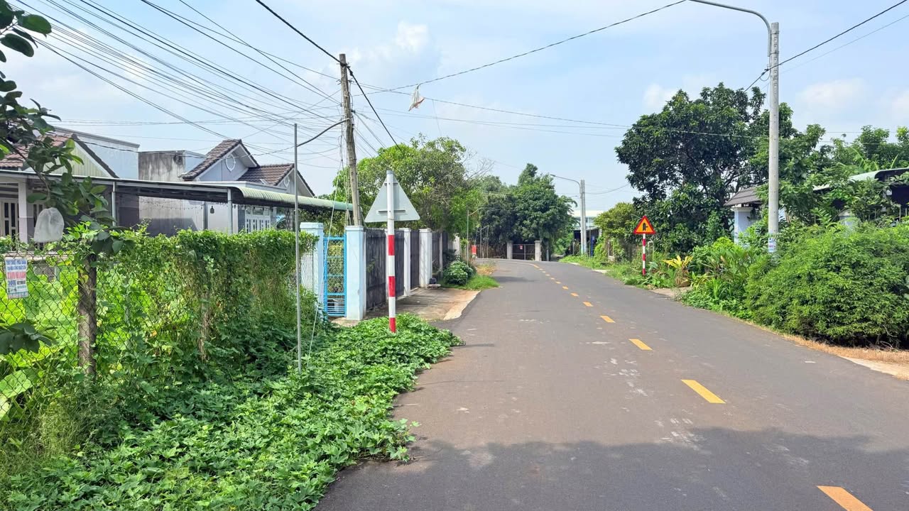 Farm Nghĩa Đình Chiểu, Đất Đỏ 900m² giá 6 tỷ - Góc hai mặt tiền đẹp tuyệt vời!