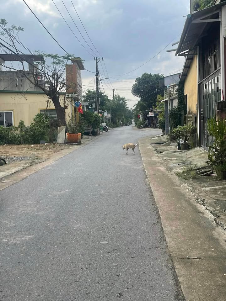 Đất nền mặt tiền Hà Huy Tập Đông Hà 82.5m² giá 1.2 tỷ - Cơ hội đầu tư hiếm có!