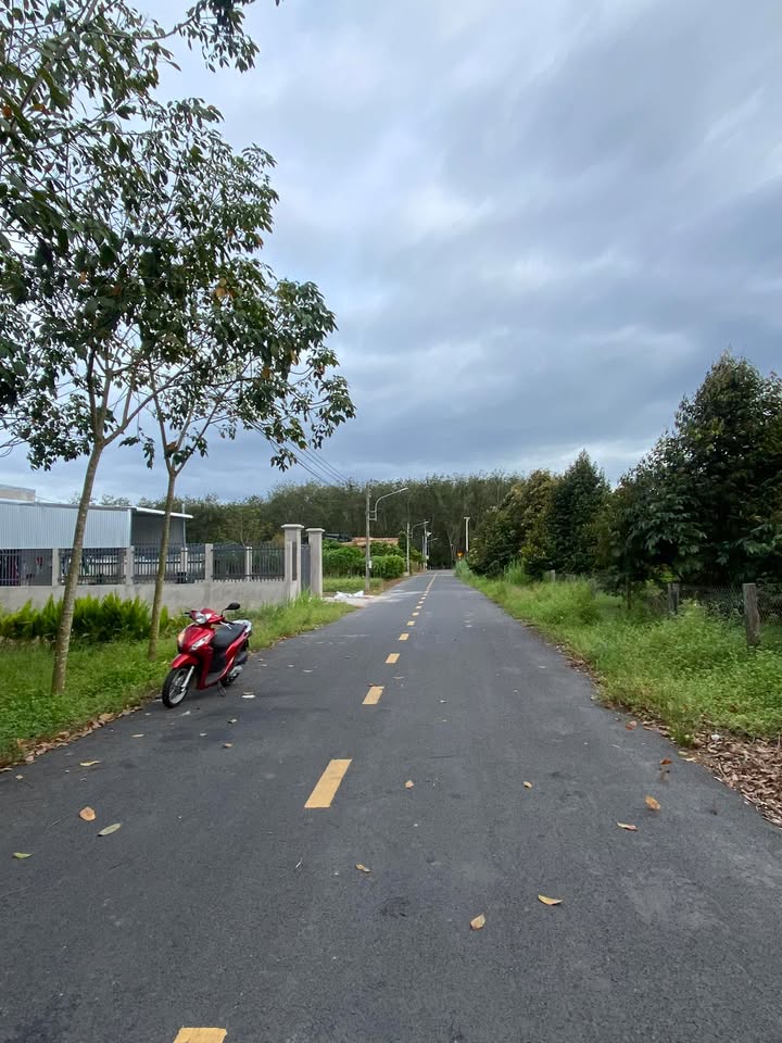 Đất nền Lai Uyên Bàu Bàng 1950m² giá 3 tỷ - Vị trí đẹp, đầu tư sinh lời!