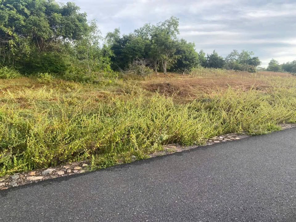 Đất mặt tiền nhựa Phường Mũi Né 1000m² giá 1.65 tỷ - Cơ hội đầu tư cực tốt!