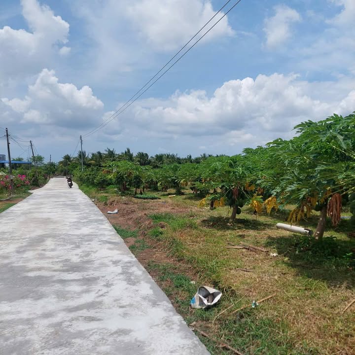 Đất thổ cư 9216m² Hàm Liêm, Bình Thuận - Giá chỉ 1.642 tỷ, cơ hội đầu tư tuyệt vời!