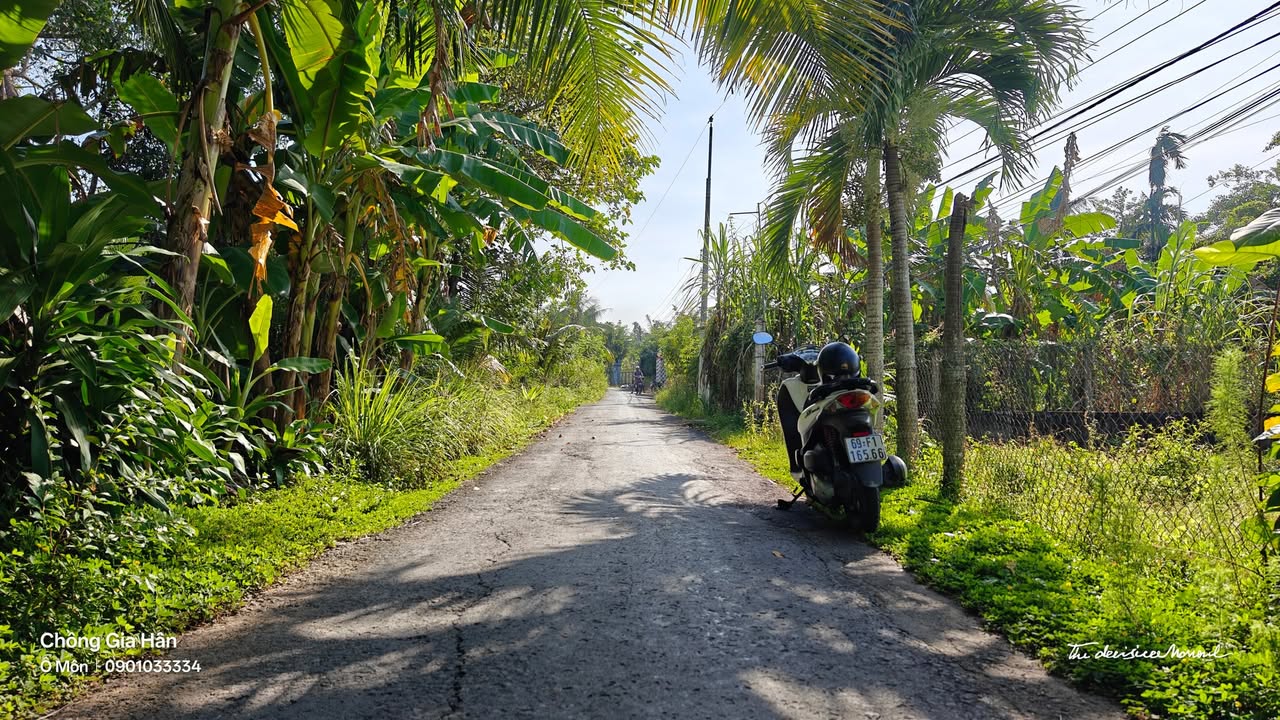 Đất thổ cư 1000m² tại Trường Lạc, Ô Môn giá 3.99 tỷ - Cơ hội đầu tư hiếm có!