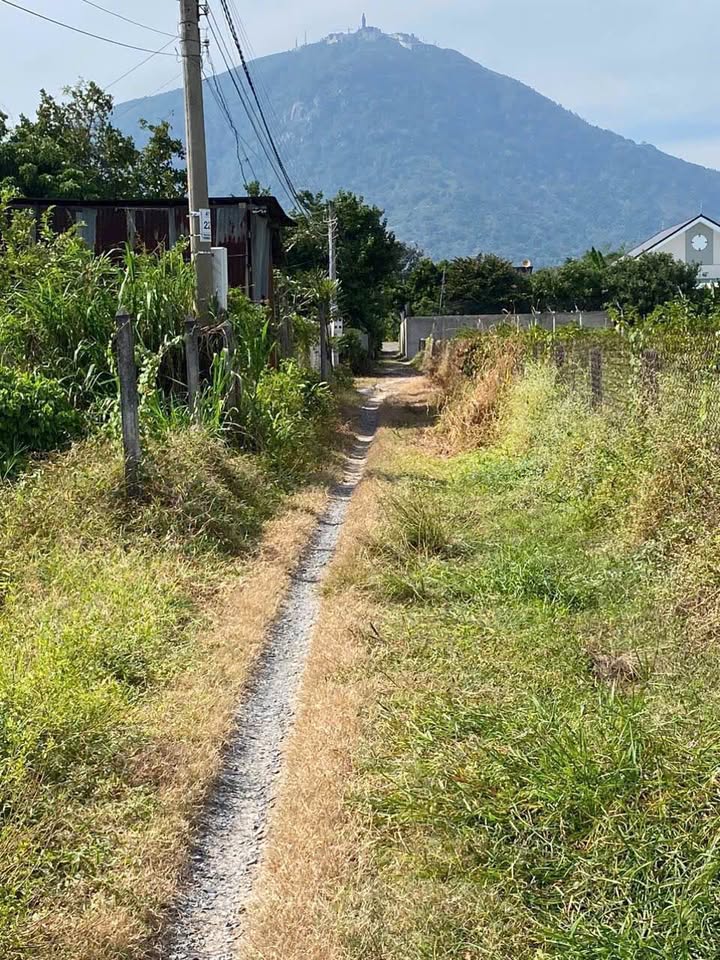 Đất thổ cư Suối Đá, Dương Minh Châu 500m² giá 5 tỷ - Đầu tư sinh lời ngay!