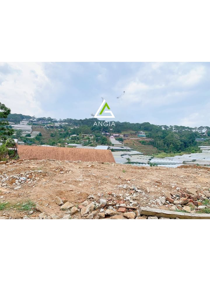 Đất nền Đà Lạt 200m² giá 8 tỷ - View đồi thông xanh tuyệt đẹp!