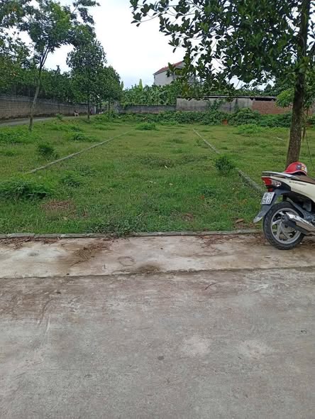 Đất Ngọc Sơn Hiệp Hòa 142m² giá chỉ 800 triệu - Cơ hội đầu tư hiếm có!