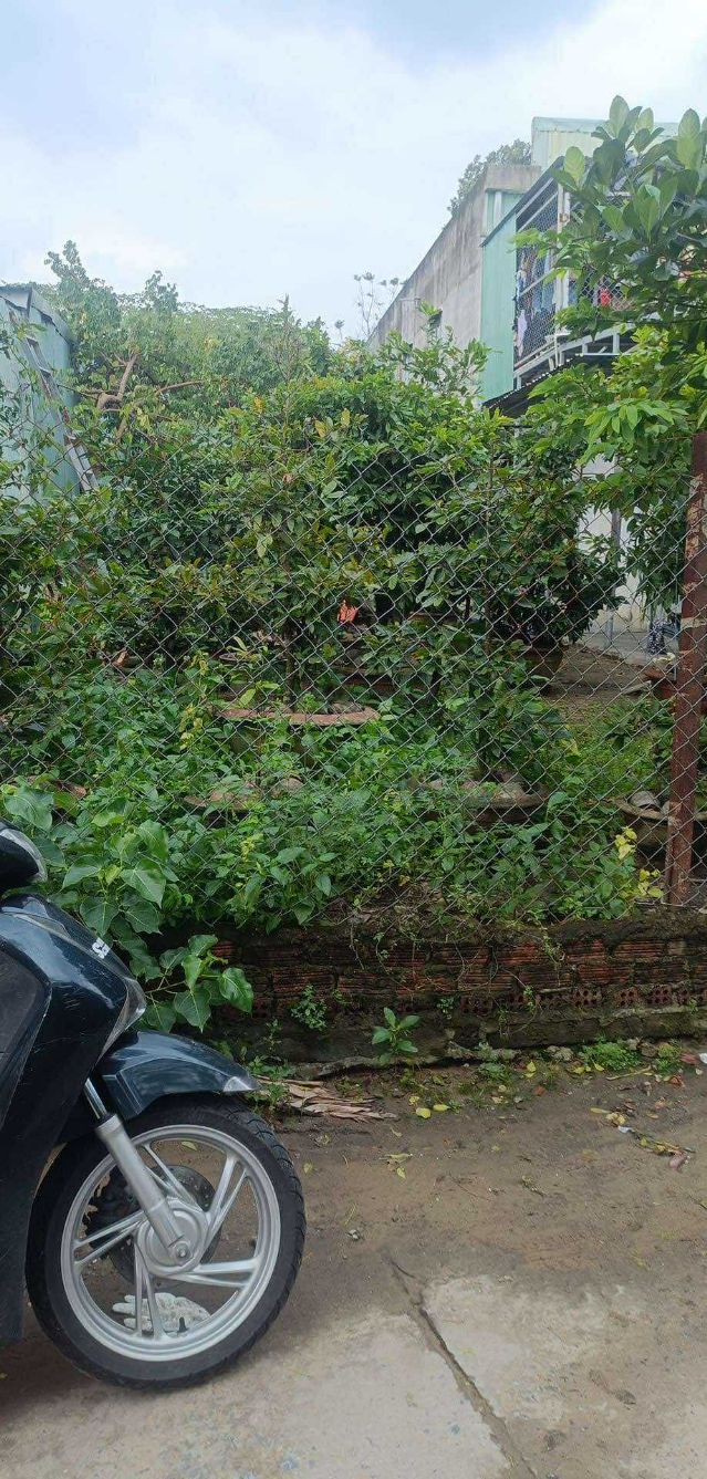 Đất nền tại kiệt ôtô Tôn Đản, Cẩm Lệ, Đà Nẵng 168m² giá 2.8 tỷ - Đầu tư sinh lời ngay!