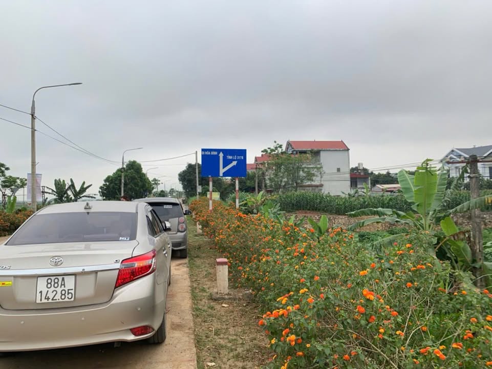 Đất nền mặt đường Tỉnh lộ 317, Đồng Trung, Thanh Thủy 100m² - Cơ hội đầu tư hiếm có!