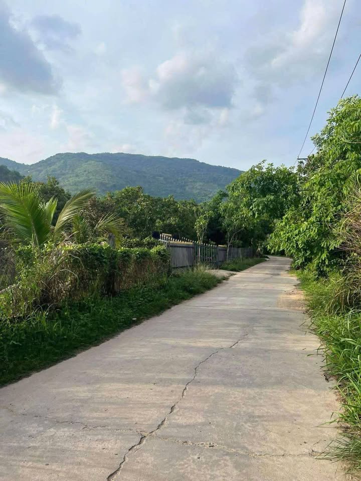 Đất nền xã Xuân Lộc, Đồng Nai 1100m² - View núi tuyệt đẹp!