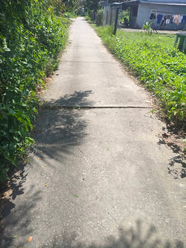 Đất ruộng ấp Thạnh Hòa, xã Mong Thọ A, 18.6641m² - Tiềm năng phát triển lớn!