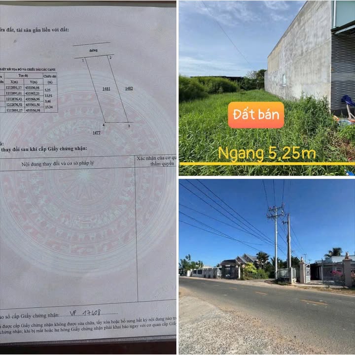 Đất nền 100m² Hàm Liêm, Bình Thuận chỉ 499 triệu - Sổ hồng riêng, gần KCN