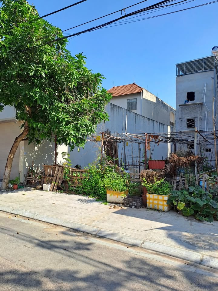 Đất nền Đoàn Thị Điểm, Liên Bảo, Vĩnh Yên 113m² giá 5.2 tỷ - Vị trí đắc địa, đầu tư sinh lời!