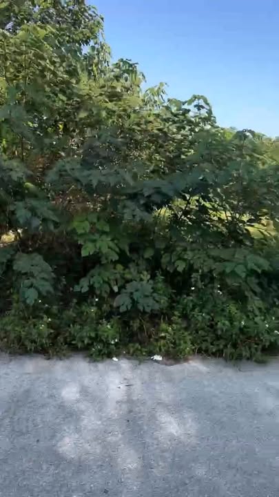 Đất biệt thự KĐT Dabaco Đình Bảng 247m² giá 18.525 tỷ - Vị trí đắc địa, đầu tư sinh lời cao!