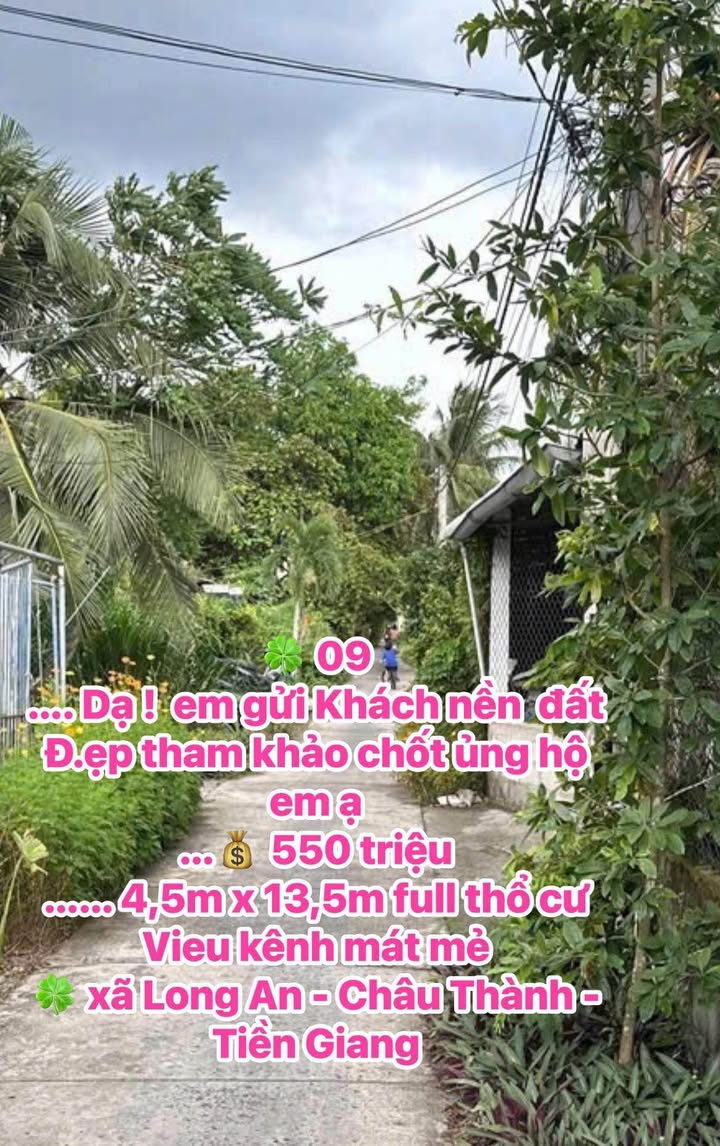 Đất nền Long An Châu Thành 60.75m² giá 550 triệu - Vị trí đẹp, tiện ích xung quanh!