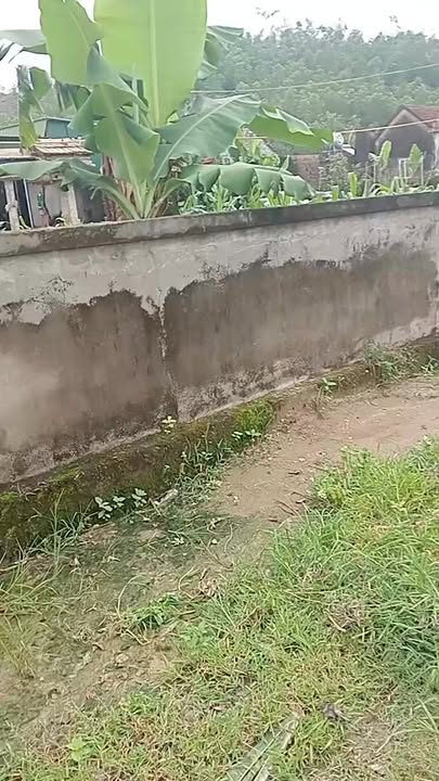 Đất nền Nghi Kiều 250m² giá 717 triệu - Vị trí đắc địa cho kinh doanh!