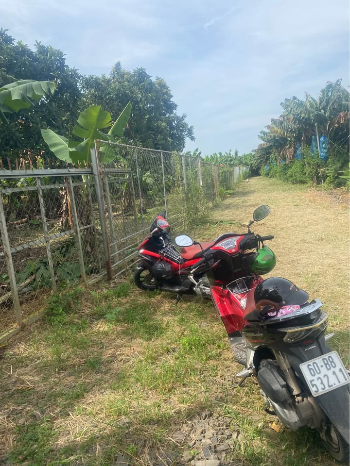 Đất 7 sào tại Ấp 8, Sông Trầu, Trảng Bom - Giá 4.55 tỷ, mặt tiền đường 50m!