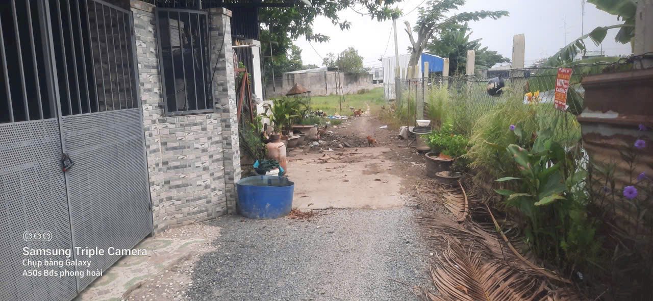 Đất thổ cư 100m² xã Mỹ Hạnh Bắc, giá 1.1 tỷ - Đường nhựa TL9 thuận tiện!