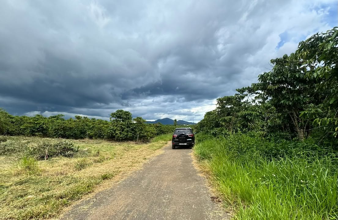 Đất nền Lộc An Bảo Lâm 100m² giá 490 triệu - Đầu tư sinh lời ngay!