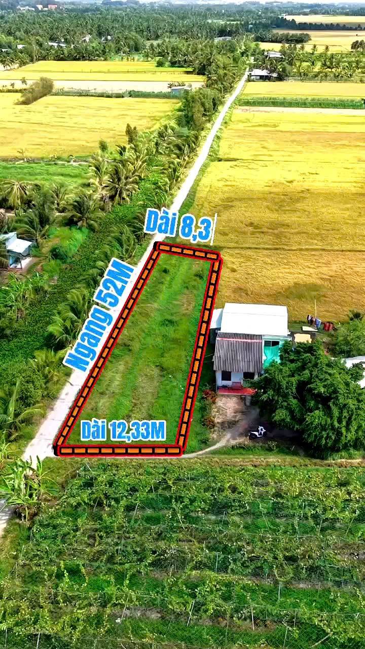 Đất nền Đa Lộc, Châu Thành, Trà Vinh 534.8m² giá 350 triệu - Mặt tiền đường ô tô