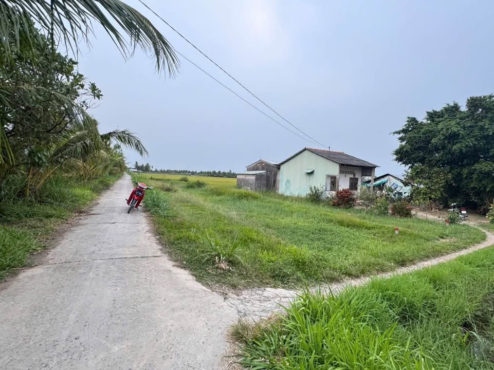 Đất nền Đa Lộc, Châu Thành, Trà Vinh 534m² giá 305 triệu - Cơ hội đầu tư tuyệt vời!