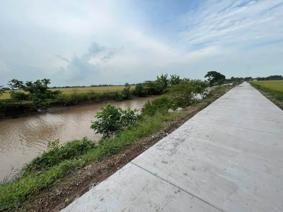 Đất nền mặt tiền lộ bê tông ấp Giồng Giữa 7500m² giá 1.5 tỷ - Cơ hội đầu tư hấp dẫn!