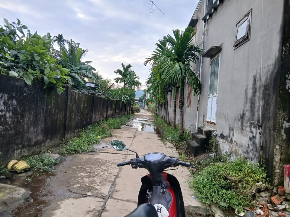 Đất nền Đại Lộc, Quảng Nam 125m² giá 900 triệu - Đầu tư sinh lời ngay!