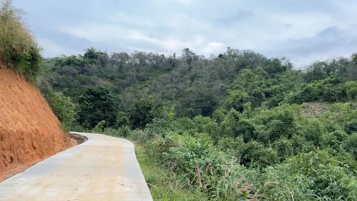 Đất rẫy 3ha tại xã Quảng Phú - Giá chỉ 2.05 tỷ - Tiềm năng đầu tư lớn!