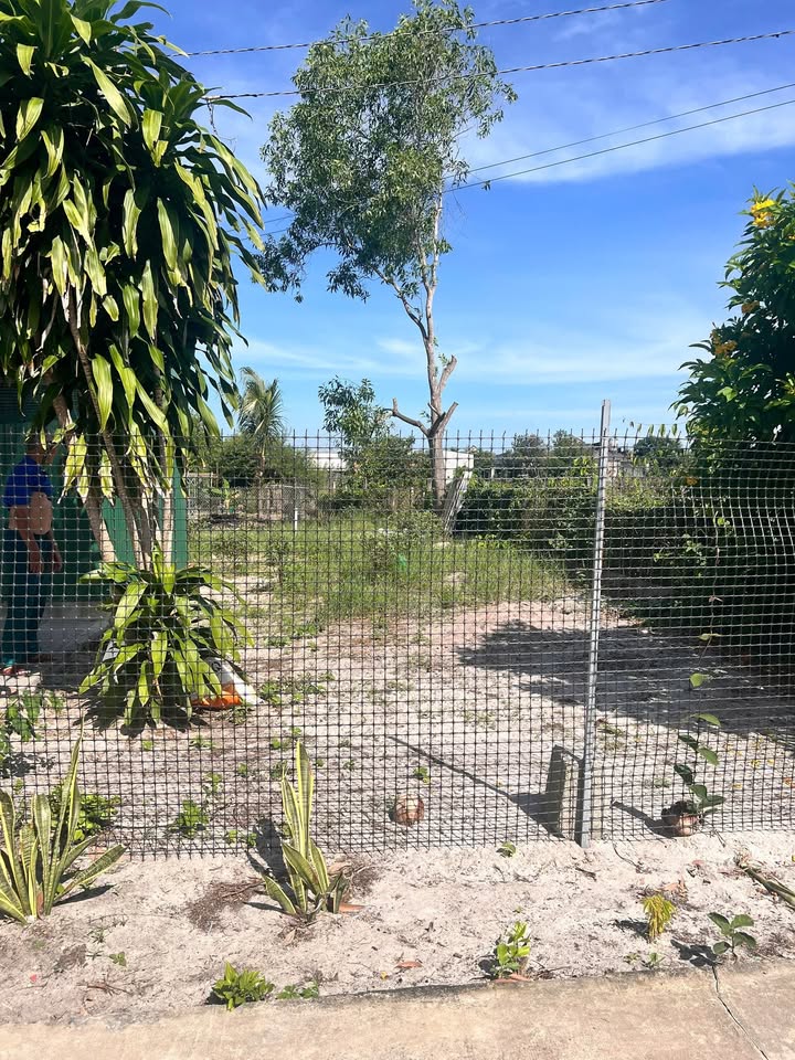 Đất nền Phước Hội, La Gi 100m² giá 700 triệu - Đầu tư sinh lời ngay!