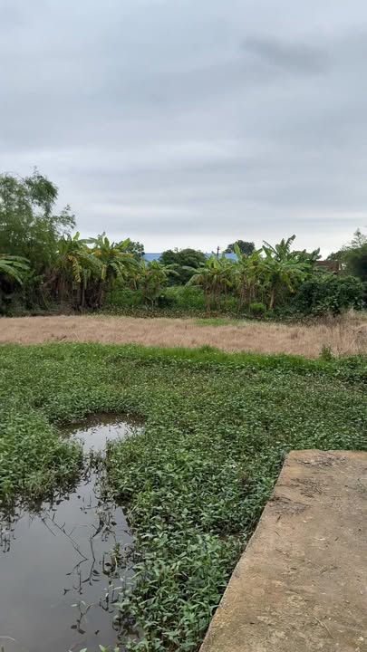 Đất nền thôn Đào Hạ, Nghĩa Châu 110m² chỉ 670 triệu - Sổ đỏ chính chủ!