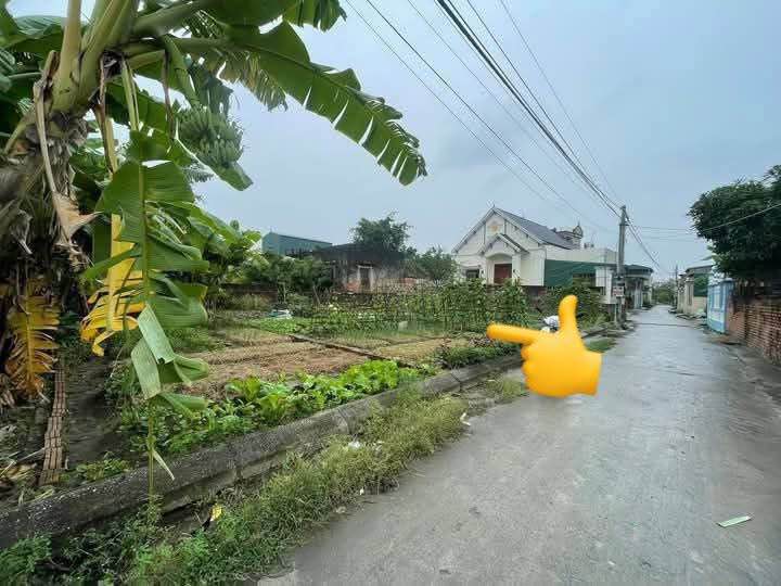 Đất nền Bình Xuyên 63m² giá 700 triệu - Sổ hồng chính chủ!