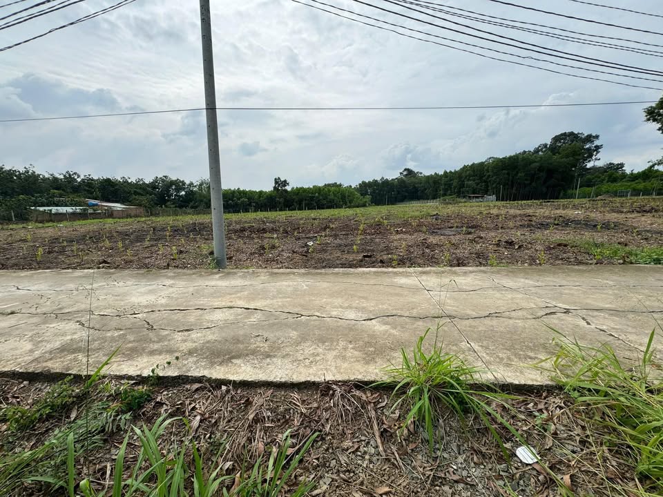 Đất nền 612m² xã Bình Lợi - Giá chỉ 1.6 tỷ - Sổ riêng chính chủ!