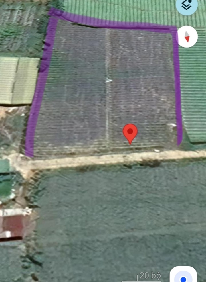 Đất cho thuê 2000m² tại xã Quảng Lập, Lâm Đồng - Giá chỉ 15 triệu/năm!