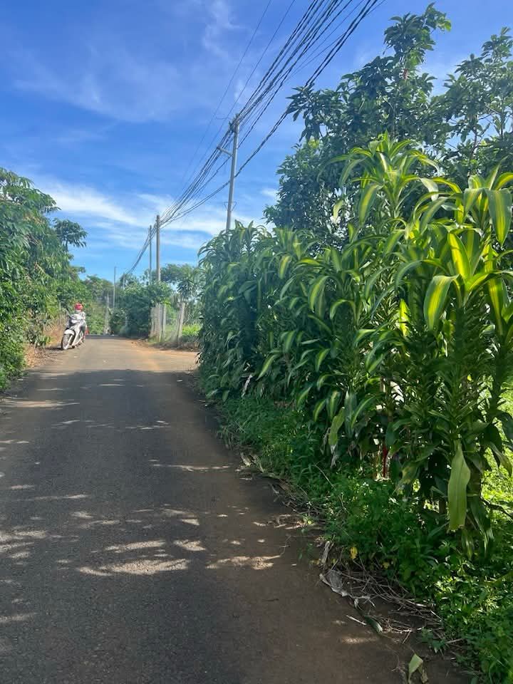 Đất nền 1000m² Lộc Ngãi Bảo Lâm chỉ 850 triệu - Đầu tư sinh lời ngay!