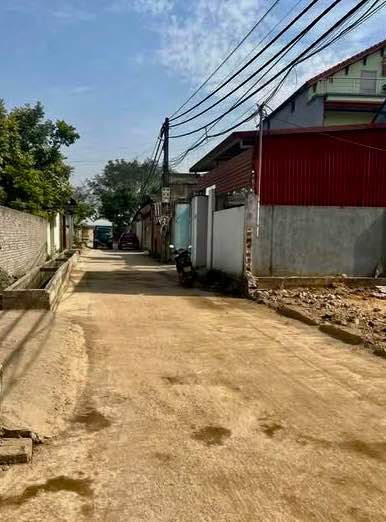 Đất nền Tân Hưng, Sóc Sơn 176m² giá chỉ 2.xx triệu/m² - Cơ hội đầu tư tuyệt vời!