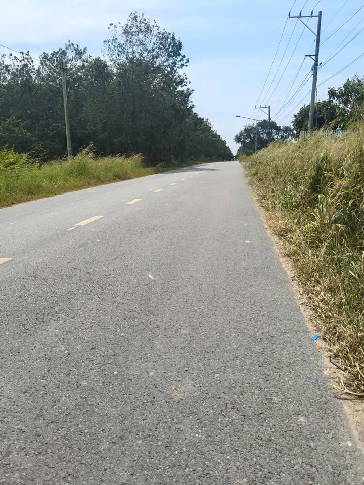 Đất nền 250m² đường ĐH619, xã Long Nguyên, Bàu Bàng - Giá chỉ 1.05 tỷ!