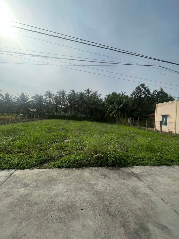 Đất thổ cư 100m² tại Thạnh Thới, Gò Công Tây giá chỉ 350 triệu - Đường xe 7 chỗ vào tận nơi!